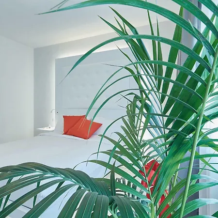 Bed and Breakfast Via Roma 25 B&B *